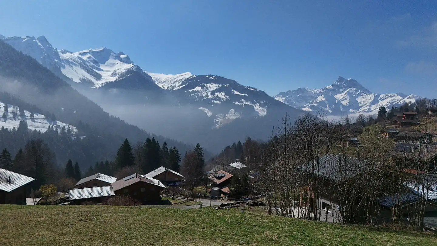 Terreno edificabile in vendita - 1882 Gryon - Photo 2