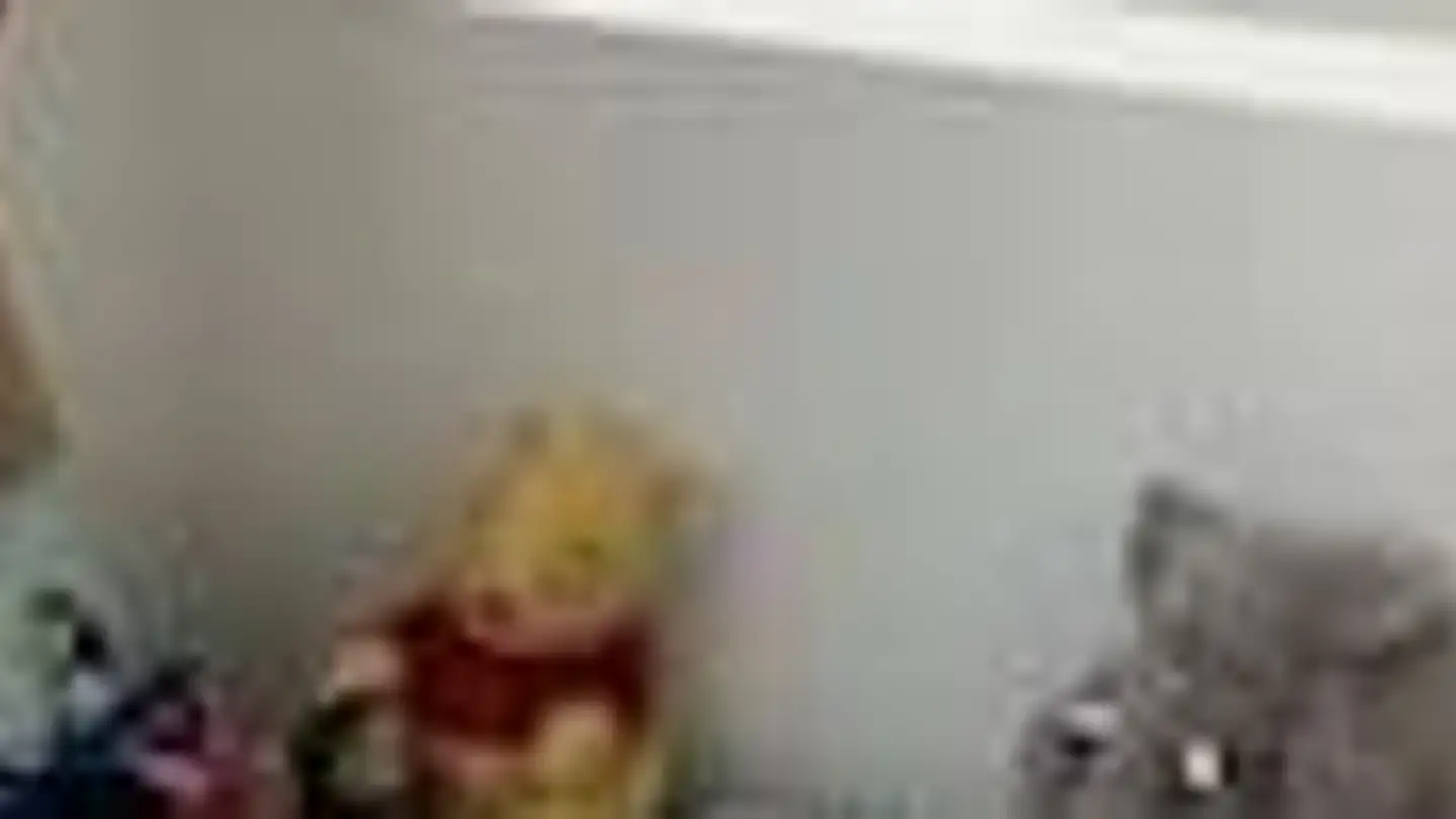 Appartamento in affitto - Weiherstrasse 19, 5015 Erlinsbach SO - Foto 4