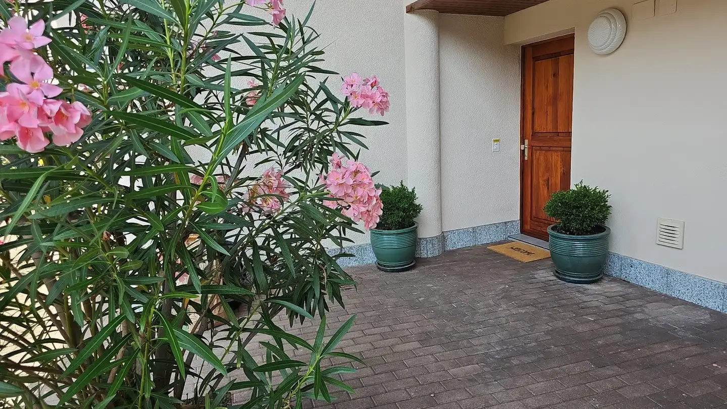Wohnung mieten - Via Stazione, 6987 Caslano