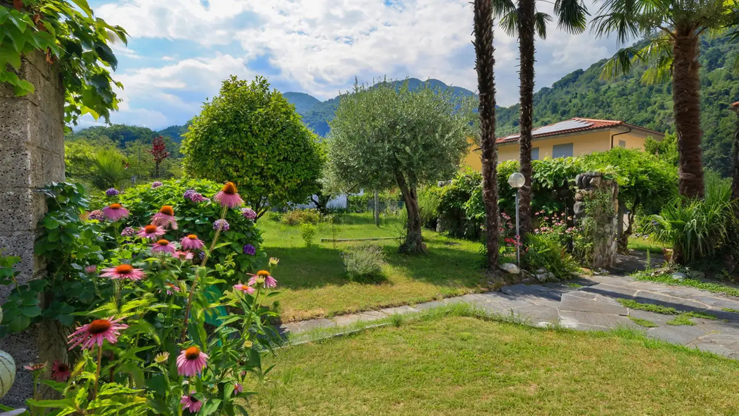 Stepped house for sale - Via Golino, 6656 Golino - Photo 2