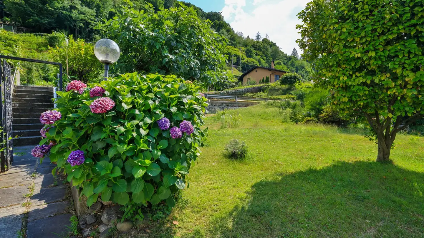 Stepped house for sale - Via Golino, 6656 Golino - Photo 3