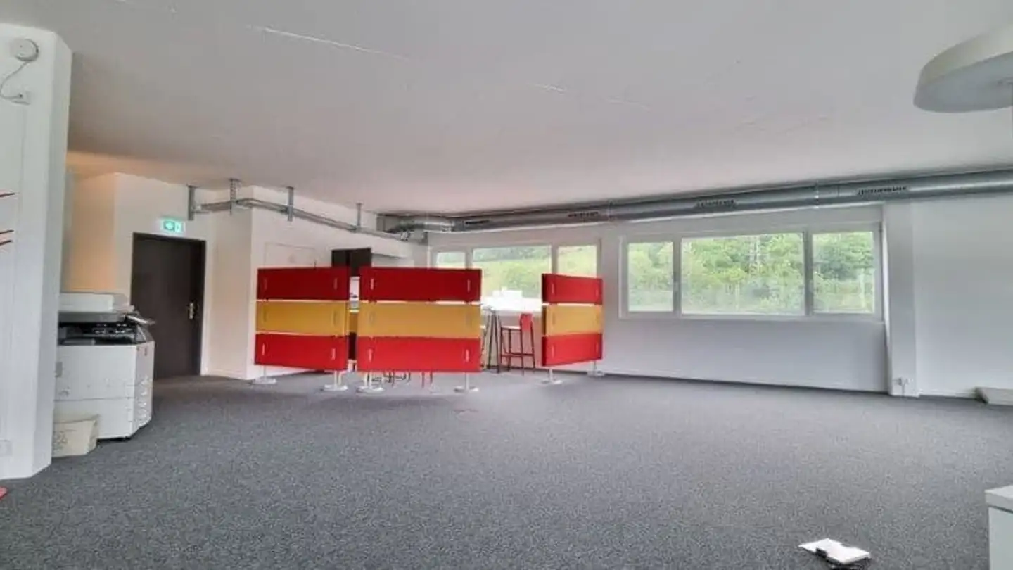 Commercial for rent - Route Du Verney 7, 1070 Puidoux - Photo 4