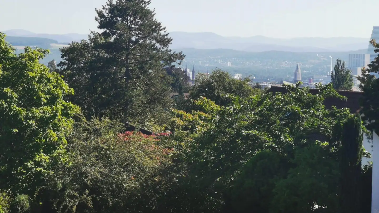 Casa singola in affitto - Ob Dem Hölzli 1d, 4102 Binningen - Foto 2