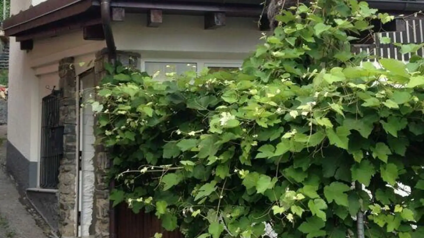 Casa singola in vendita - Vicolo Torre, 6982 Agno