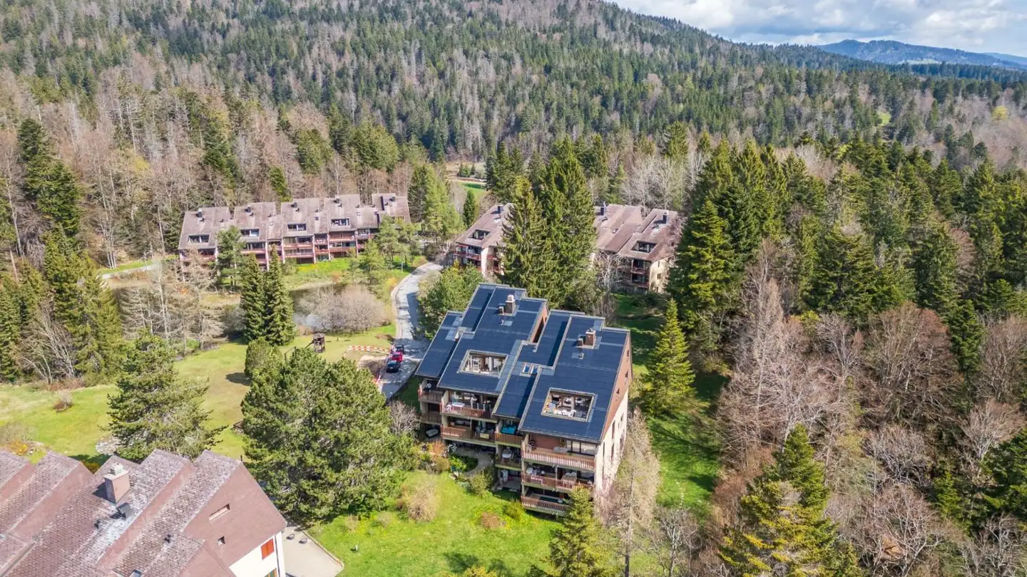 Apartment for sale - Route Des Cheseaux-Dessus, 1264 St-Cergue - Photo 2