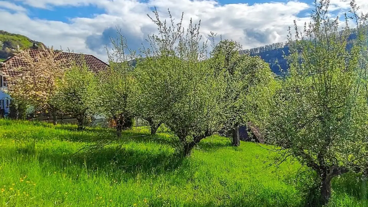 Terrain constructible à vendre - Hinter Risistrasse, 5277 Hottwil - Photo 4