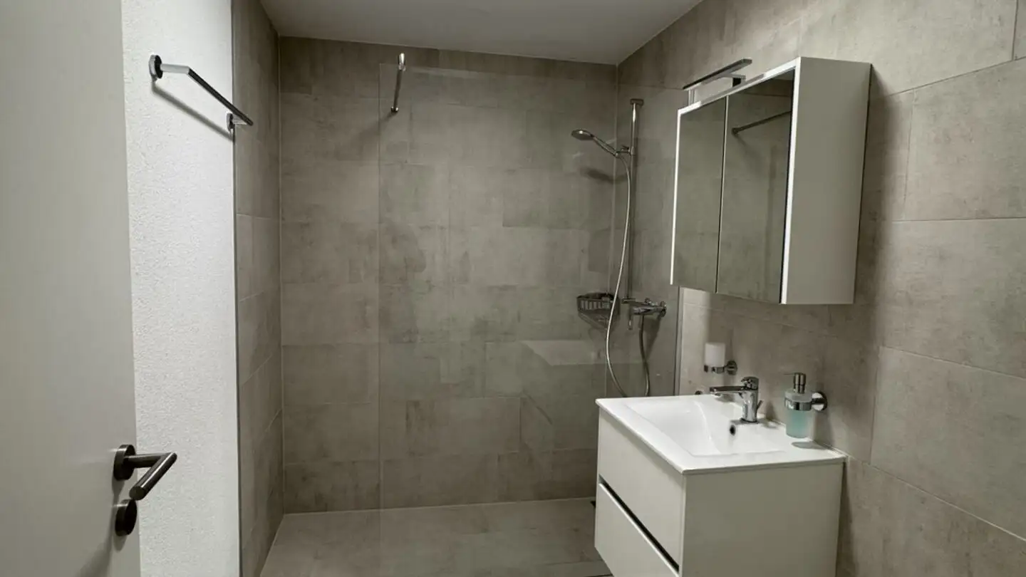 Appartamento in affitto - Erlengut, 5036 Oberentfelden - Photo 4