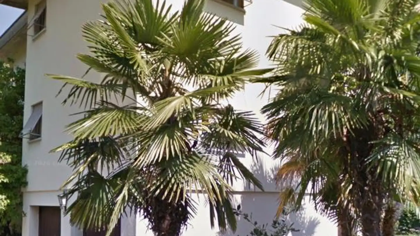 Apartment for rent - Via Ai Ciossi 10, 6616 Losone