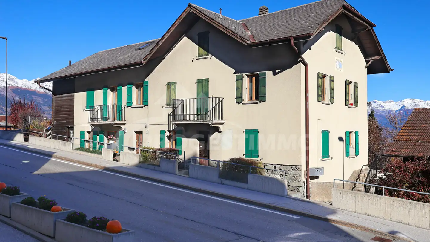Residential building for sale - 1996 Basse-Nendaz