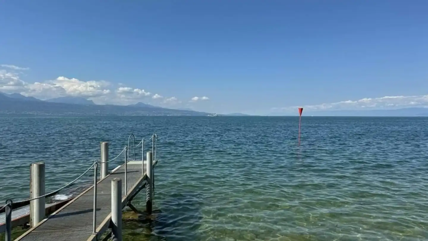 Maison individuelle à louer - 1096 Cully