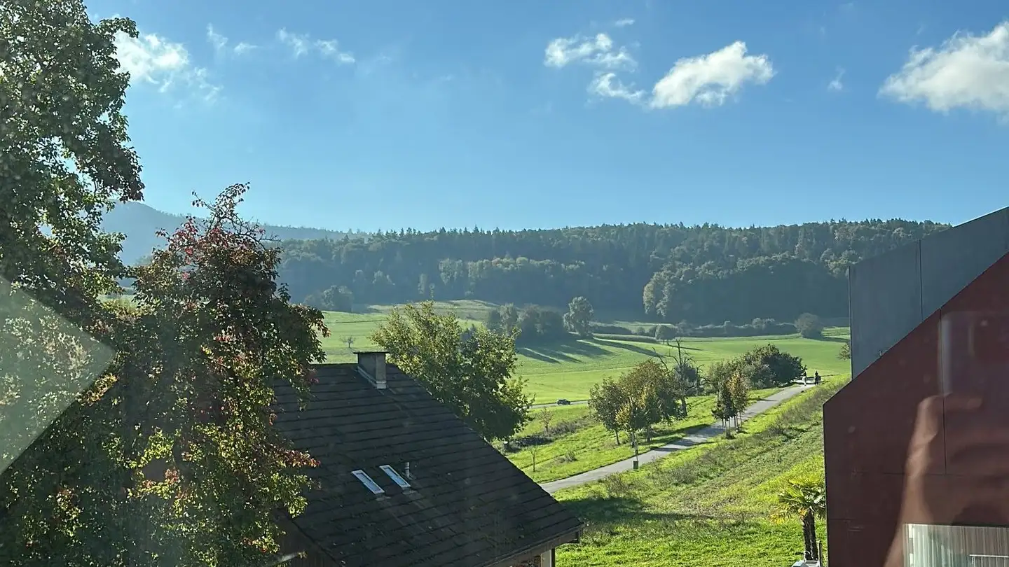 Duplex in affitto - Dorfstrasse 42, 5423 Freienwil - Photo 4