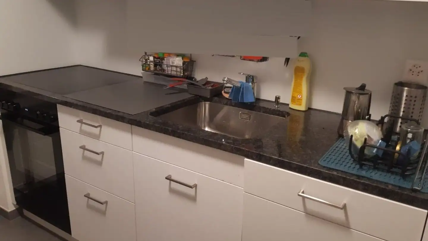 Appartamento ammobiliato in affitto - Segantinistrasse 121, 8049 Zürich - Foto 3