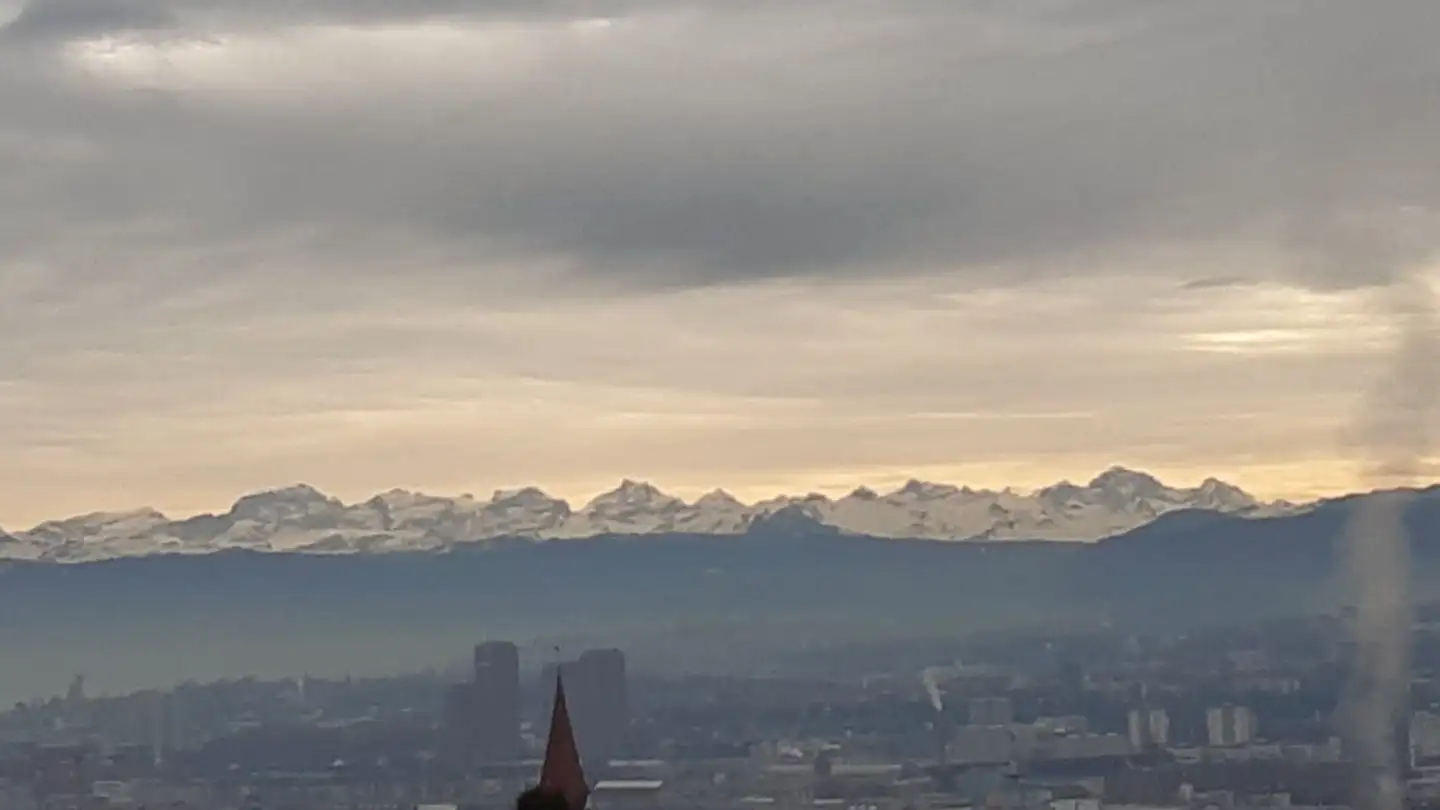 Appartamento ammobiliato in affitto - Segantinistrasse 121, 8049 Zürich