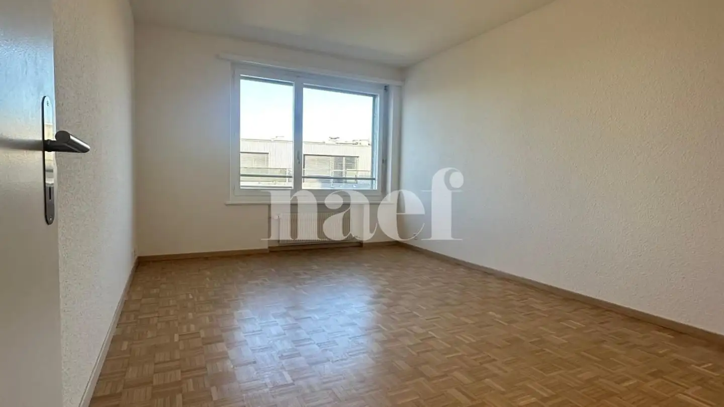 Appartamento in affitto - Rue De Genève 18, 1225 Chêne-Bourg - Foto 3