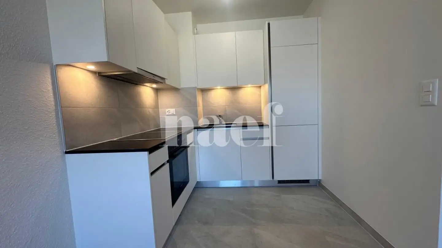 Appartamento in affitto - Rue De Genève 18, 1225 Chêne-Bourg - Foto 4