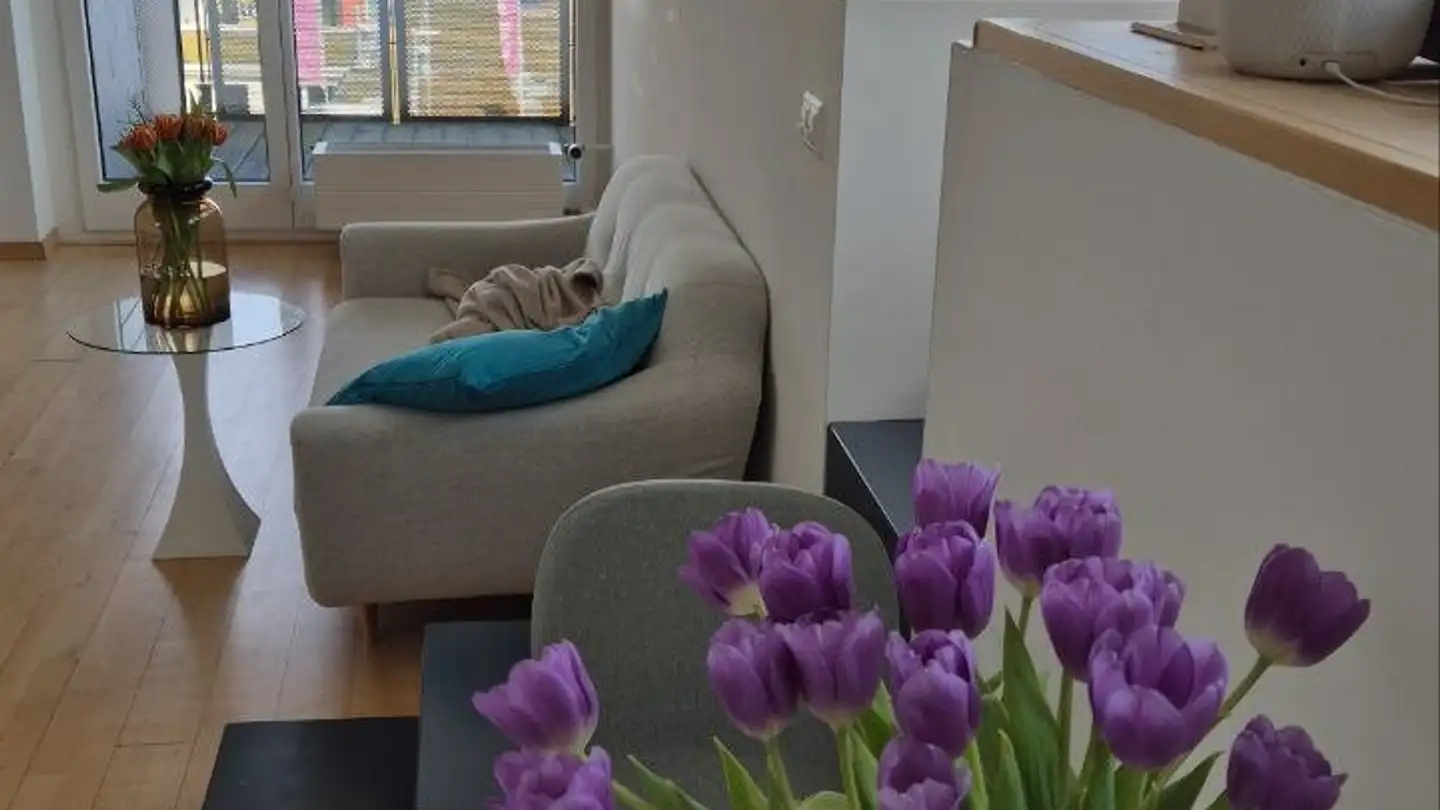 Appartamento in affitto - 8820 Wädenswil - Photo 3