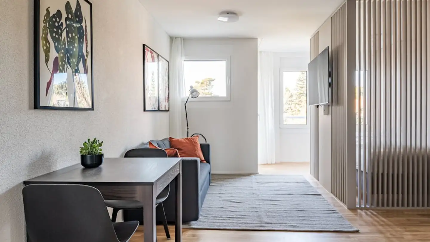 Möblierte Wohnung mieten - Bristenweg 10, 4054 Basel