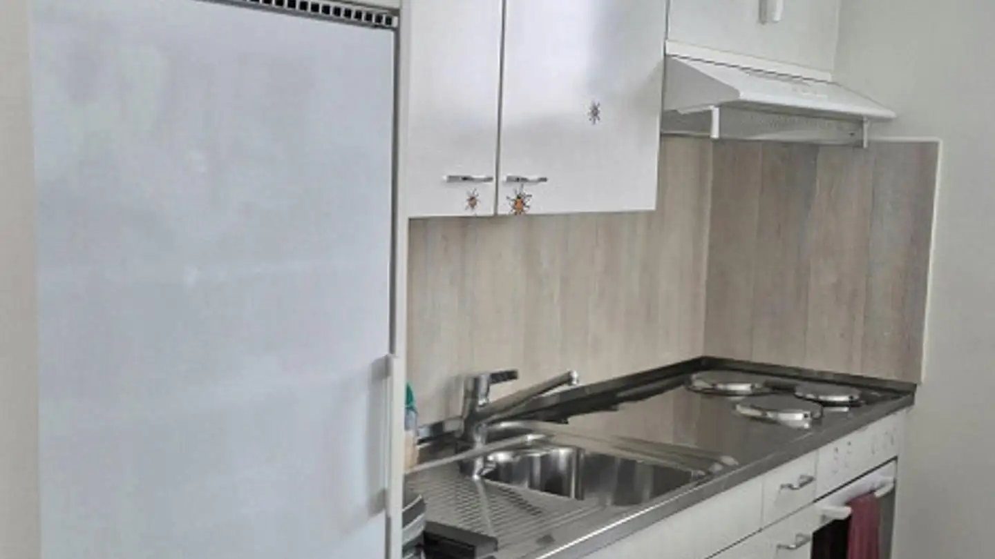 Apartment for rent - Fluhmühlerain 20, 6015 Luzern