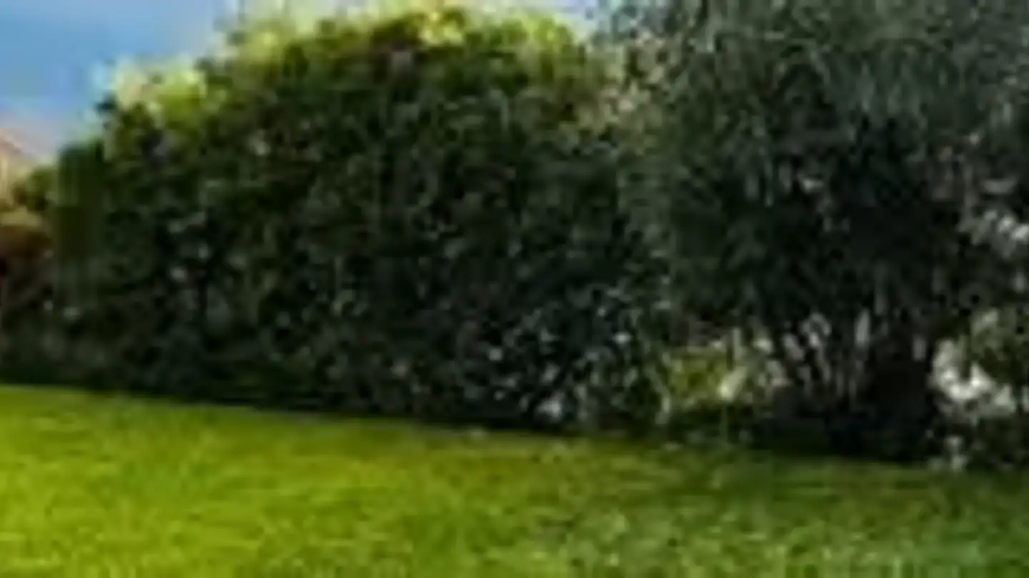 Apartment for rent - 6900 Lugano - Photo 4