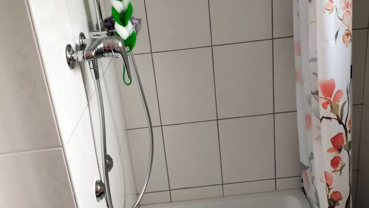 Appartamento in affitto - Waldhofstrasse 60, 4900 Langenthal - Foto 2