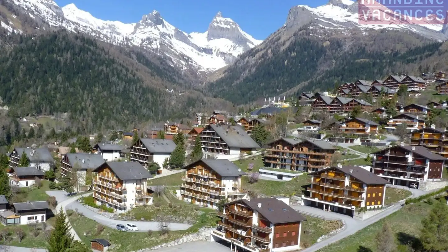 Wohnung kaufen - Chemin Des Biolles 30, 1911 Ovronnaz