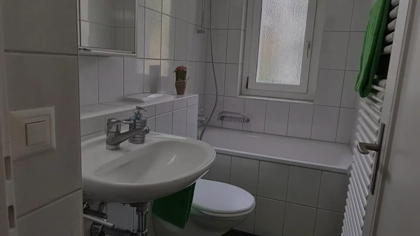 Appartamento in affitto - Wülflingerstrasse 313, 8408 Winterthur - Foto 4