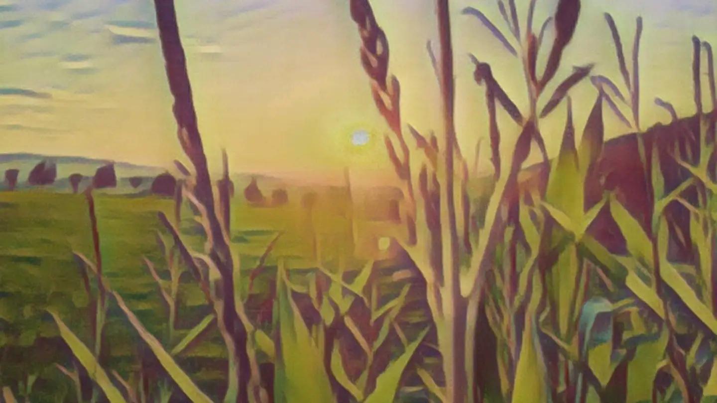 Single house for sale - Route Principale 62, 2947 Charmoille