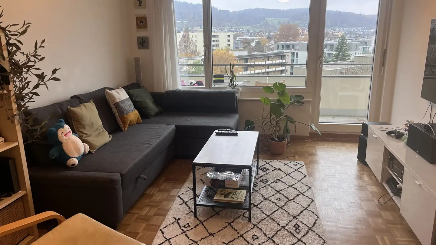 Wohnung mieten - 8055 Zürich
