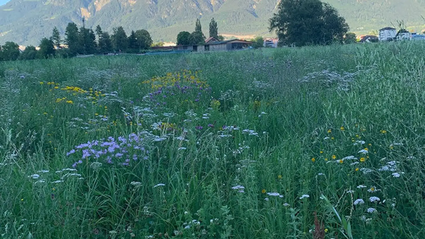 Appartamento in affitto - Frohlweg 1, 9470 Buchs SG - Foto 3