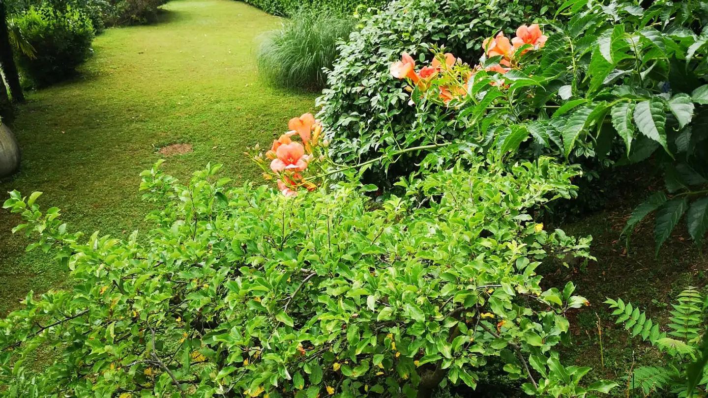 Terreno edificabile in vendita - Via Selva 12, 6990 Cassina d'Agno