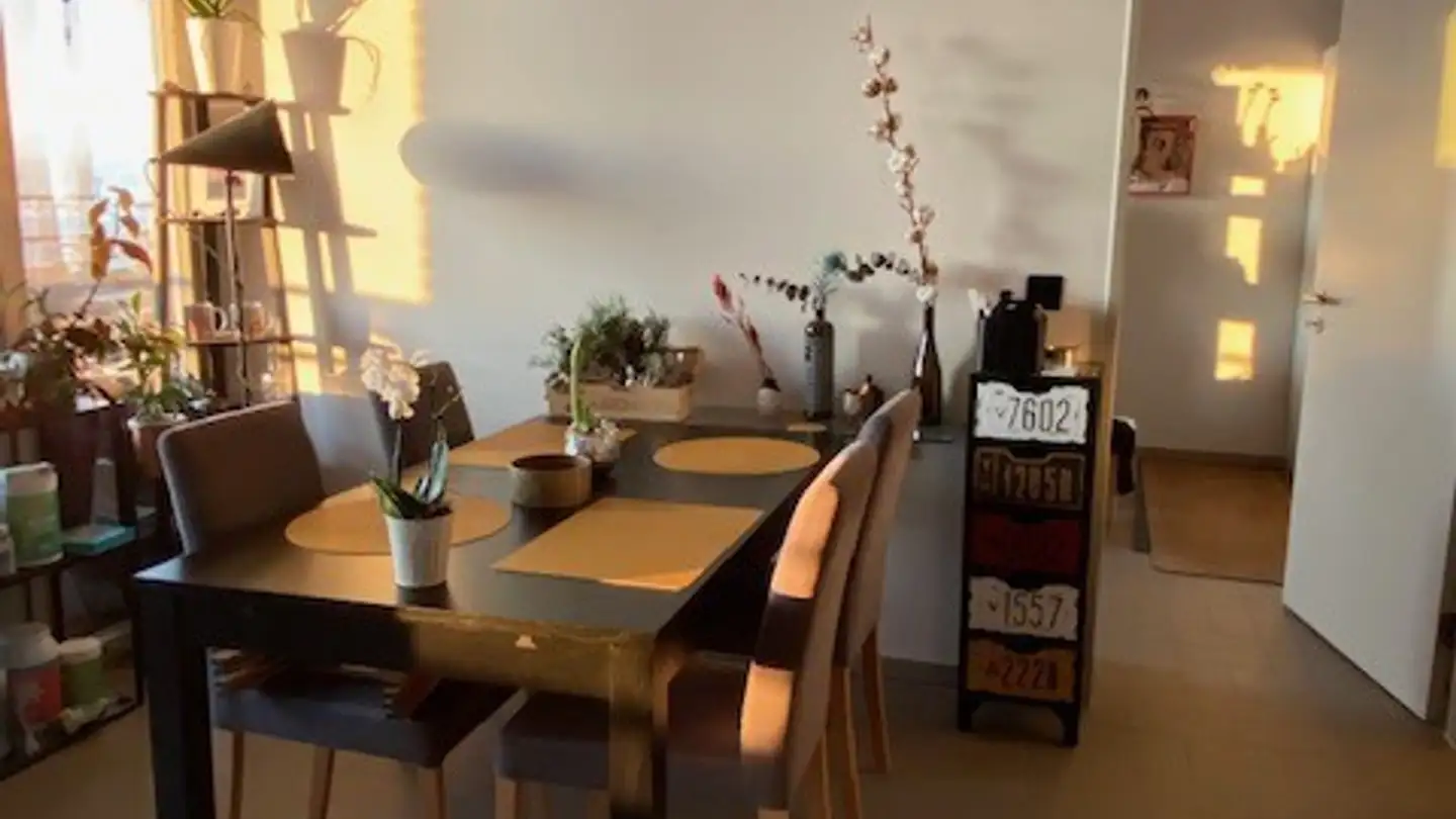 Wohnung mieten - Brandstrasse 1, 8952 Schlieren