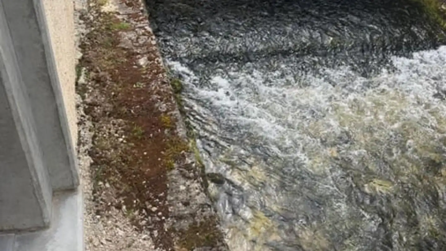 Maison individuelle à vendre - 2000 Neuchâtel - Photo 3