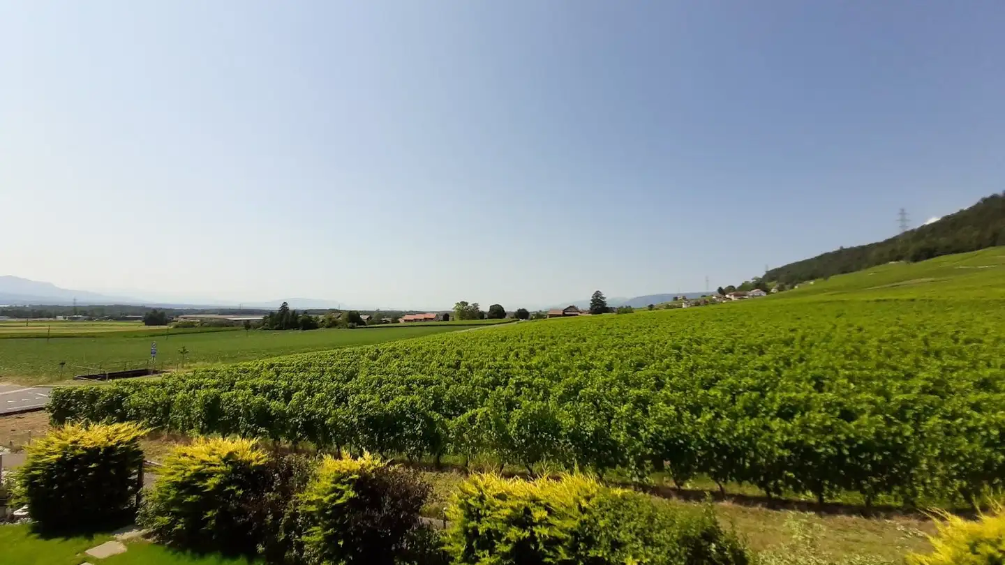 Casa a schiera in vendita - 1183 Bursins - Photo 2