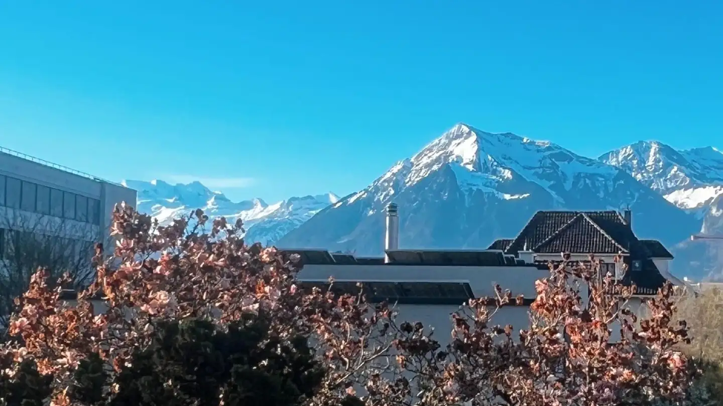 Wohnung mieten - Äussere Ringstrasse 38, 3600 Thun