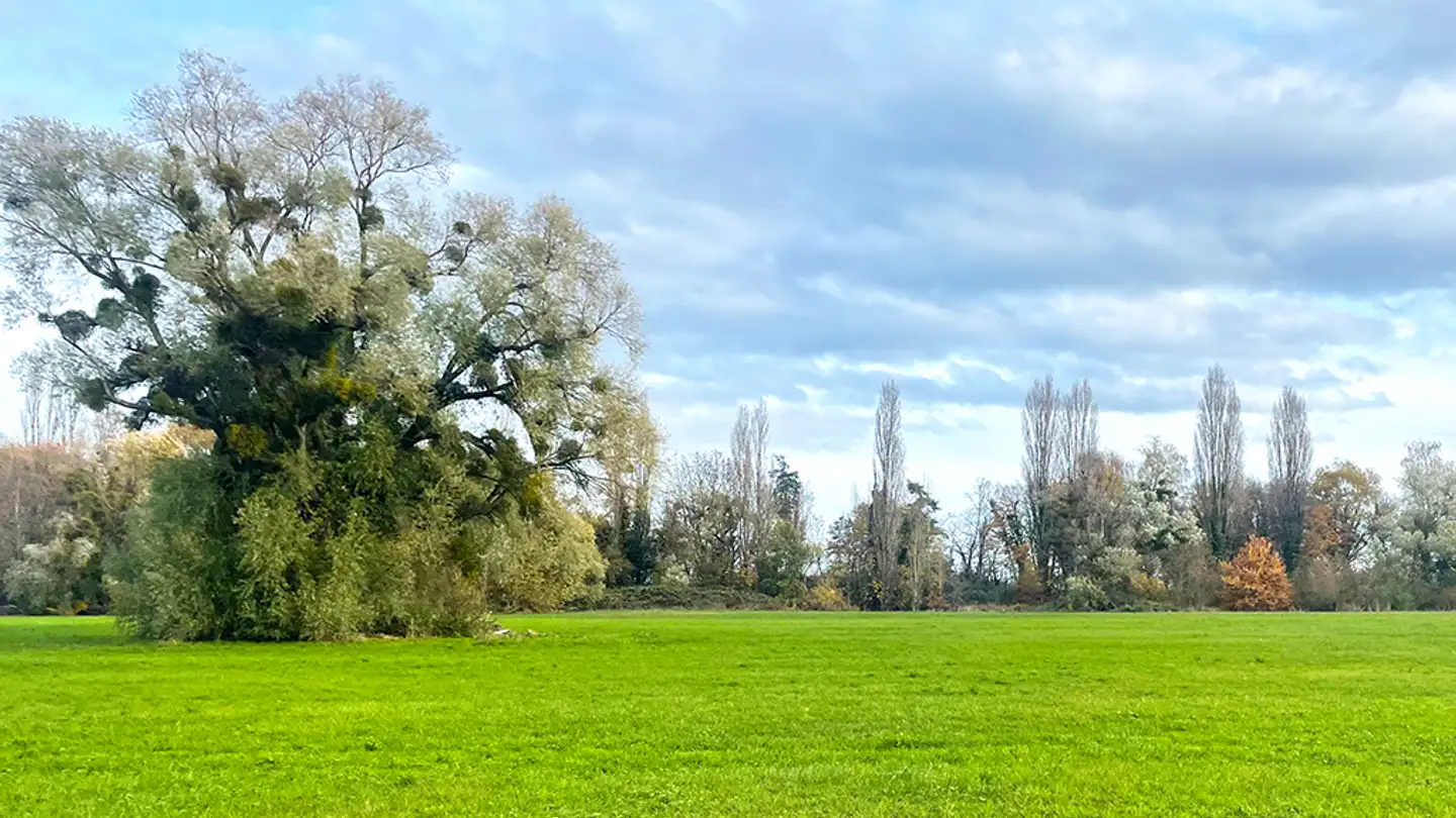 Maison individuelle à vendre - 1400 Yverdon-les-Bains