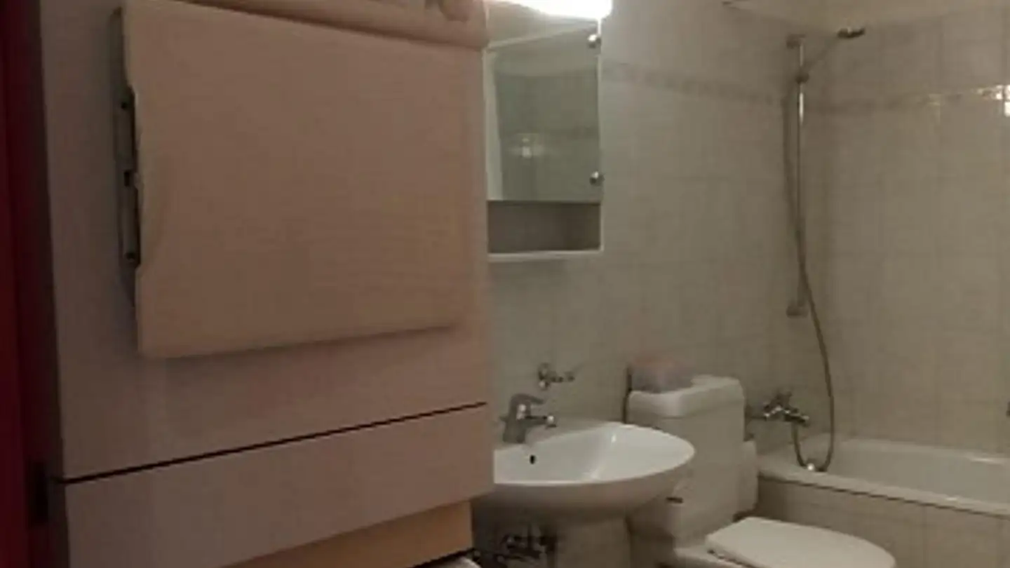 Appartamento in affitto - 8252 Schlatt TG - Foto 3