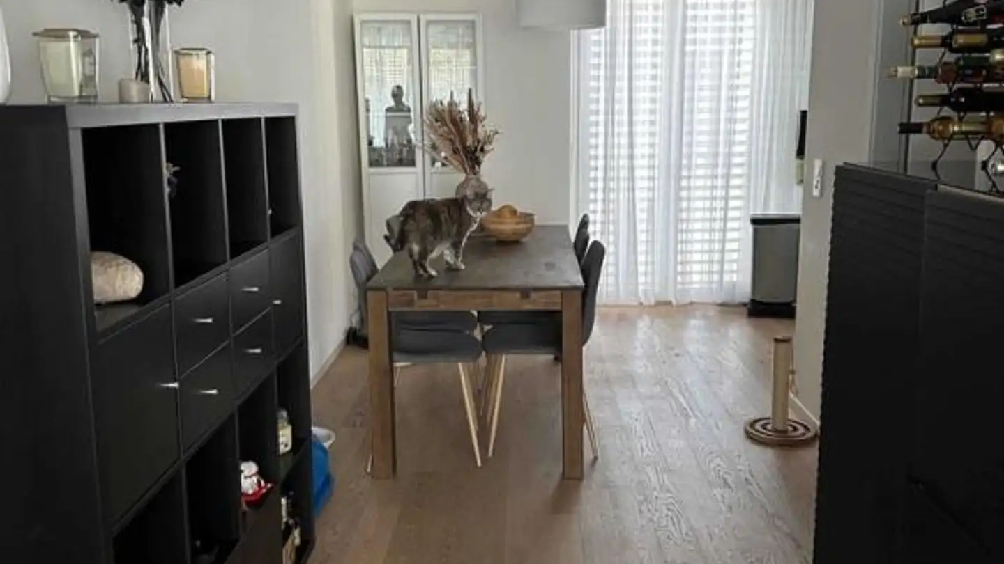 Appartamento in affitto - Chemin Des Abeilles 21, 1010 Lausanne - Foto 2