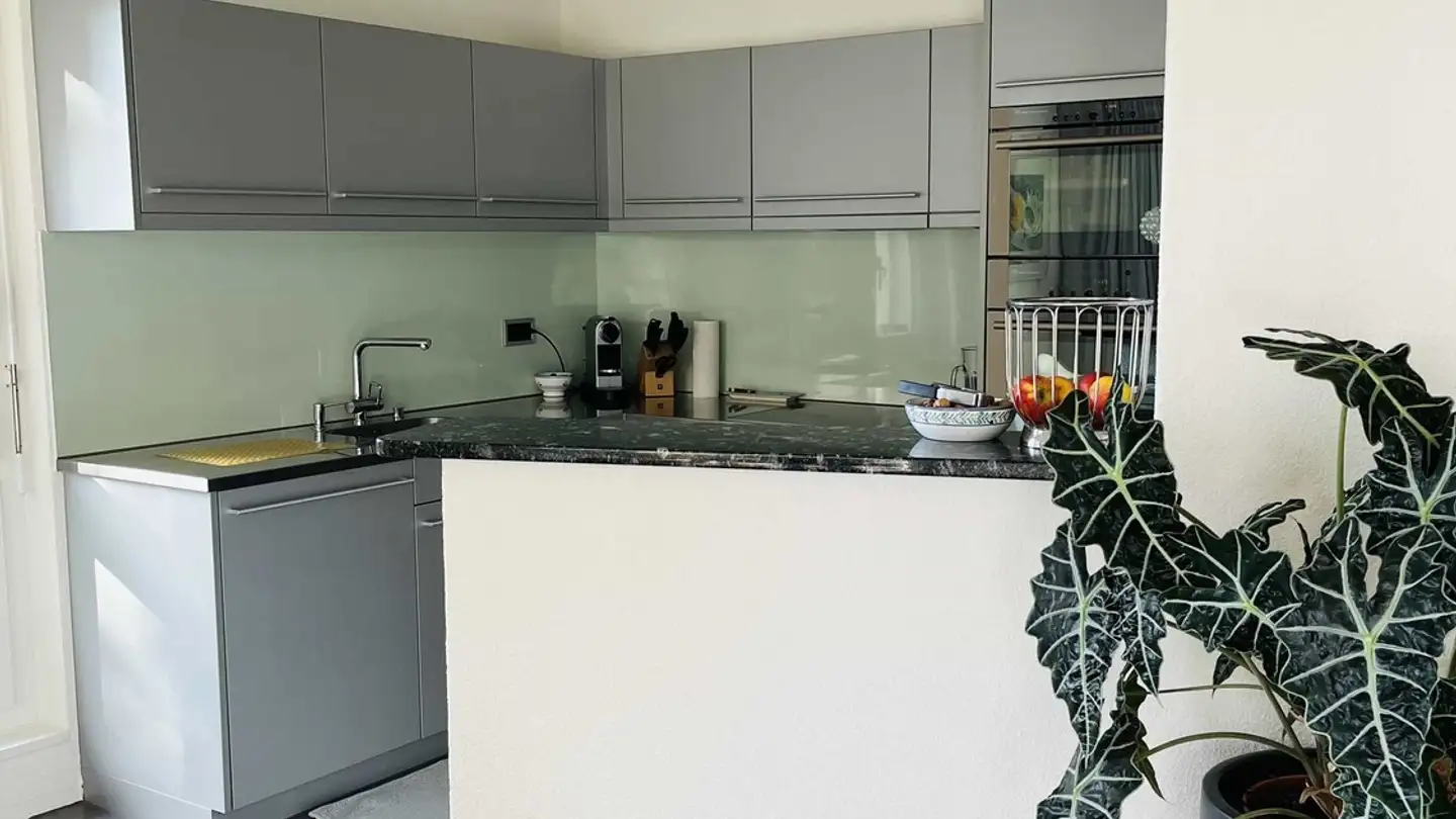 Appartamento in affitto - Talchernsteig 7, 8049 Zürich - Foto 4