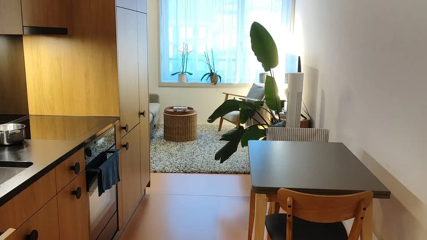 Appartement à louer - 8047 Zürich - Photo 3