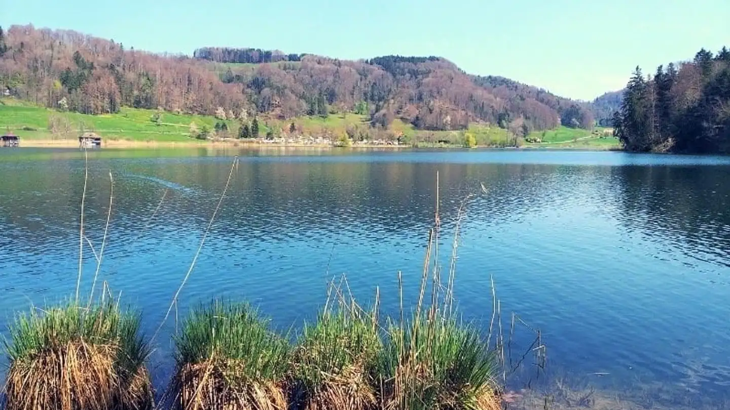 Appartamento in affitto - In Der Breite 6, 8914 Aeugstertal