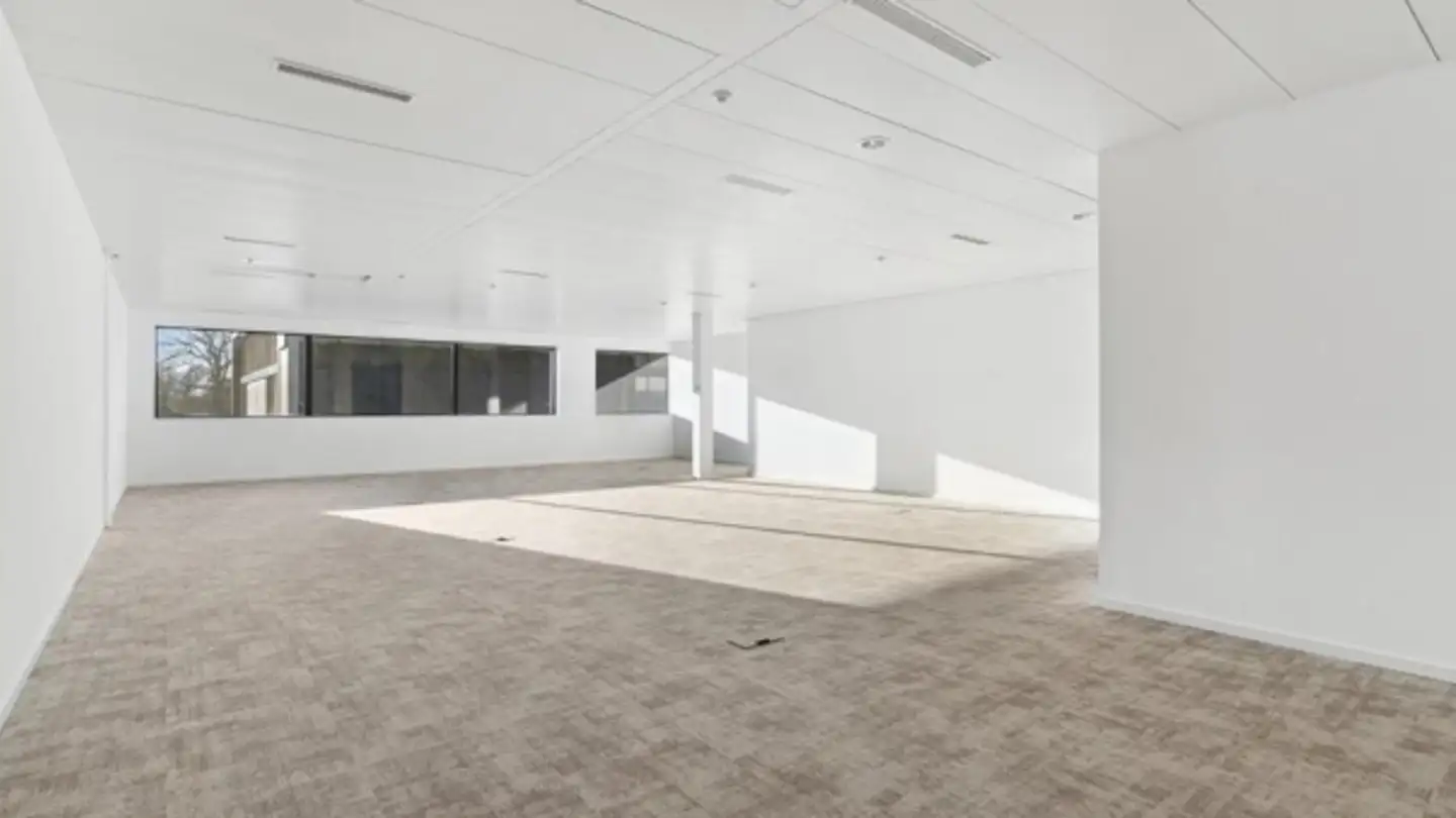 Bürofläche mieten - Chemin De Terre-Bonne 23, 1262 Eysins - Foto 2