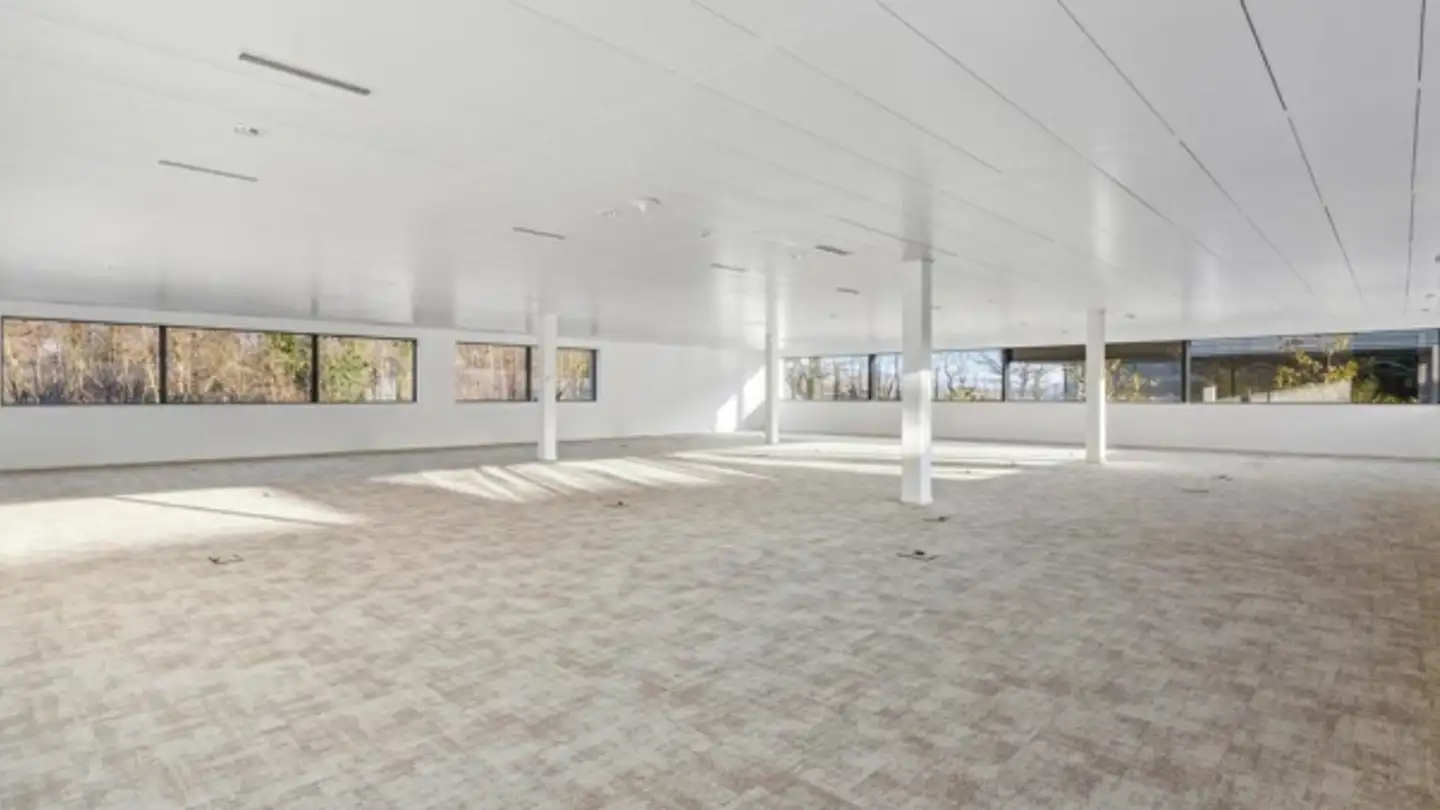 Bürofläche mieten - Chemin De Terre-Bonne 23, 1262 Eysins - Foto 3