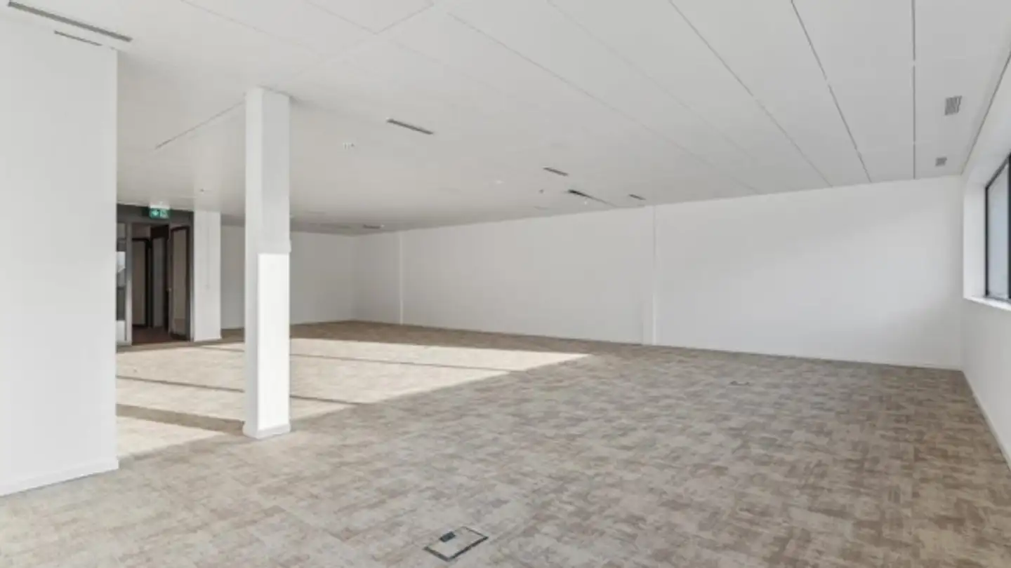 Bürofläche mieten - Chemin De Terre-Bonne 23, 1262 Eysins - Foto 4