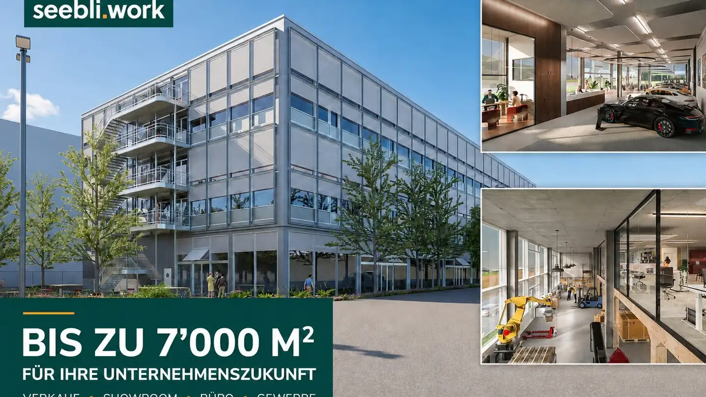 Kaufhaus mieten - Hauserstrasse 7, 5242 Lupfig