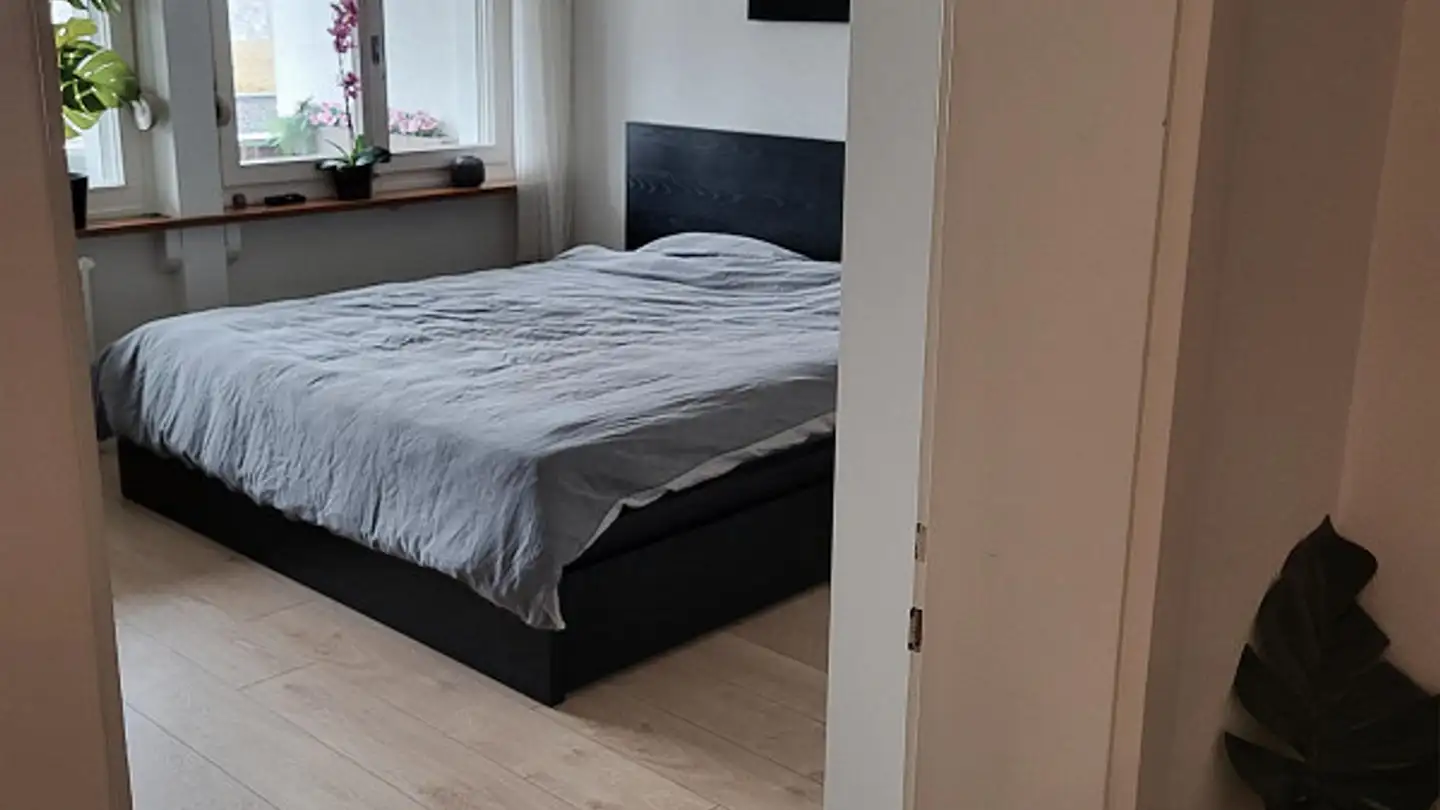 Wohnung mieten - Alte Bremgartenstrasse 2, 8965 Berikon - Foto 2