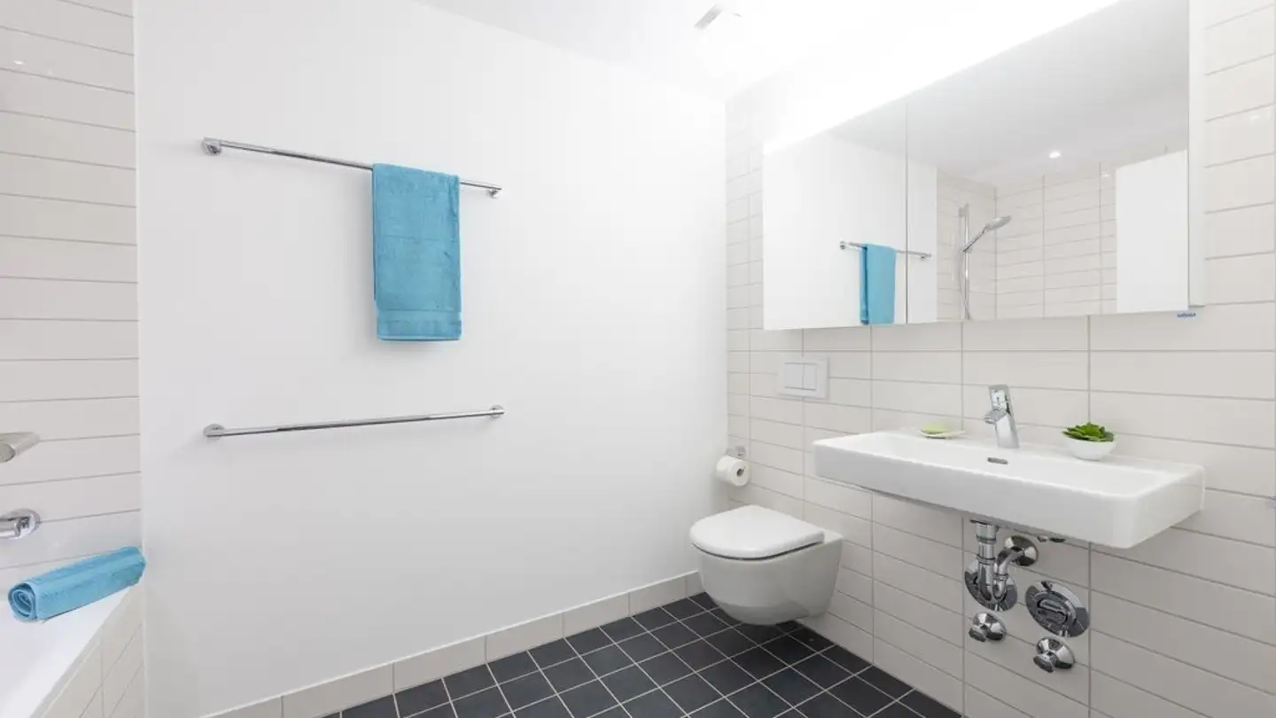 Appartamento in affitto - Ida-Sträuli-Strasse 43, 8404 Winterthur - Photo 4