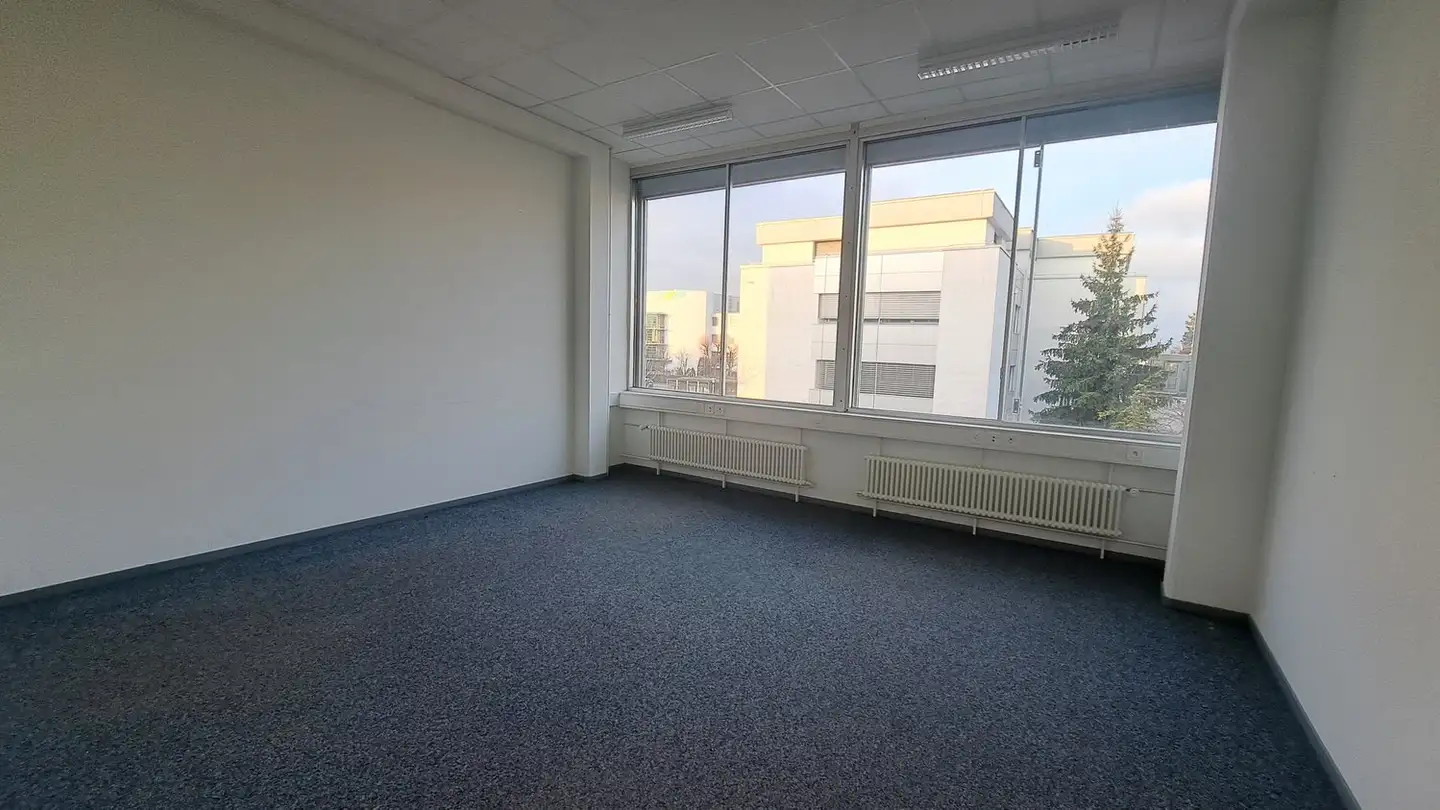 Gewerbe mieten - Römerstrasse 3, 4153 Reinach BL - Foto 3