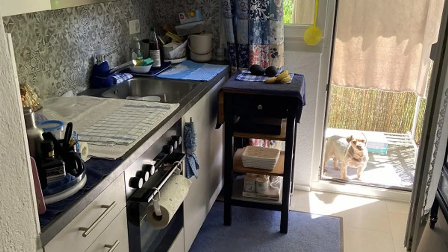 Apartment for rent - Schibliraiweg 13, 8636 Wald ZH - Photo 3