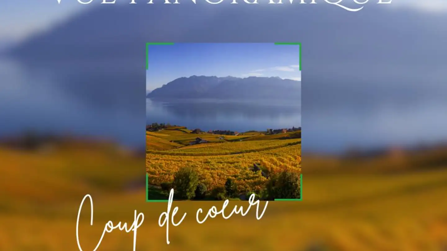 Maison jumelle à vendre - 1272 Genolier