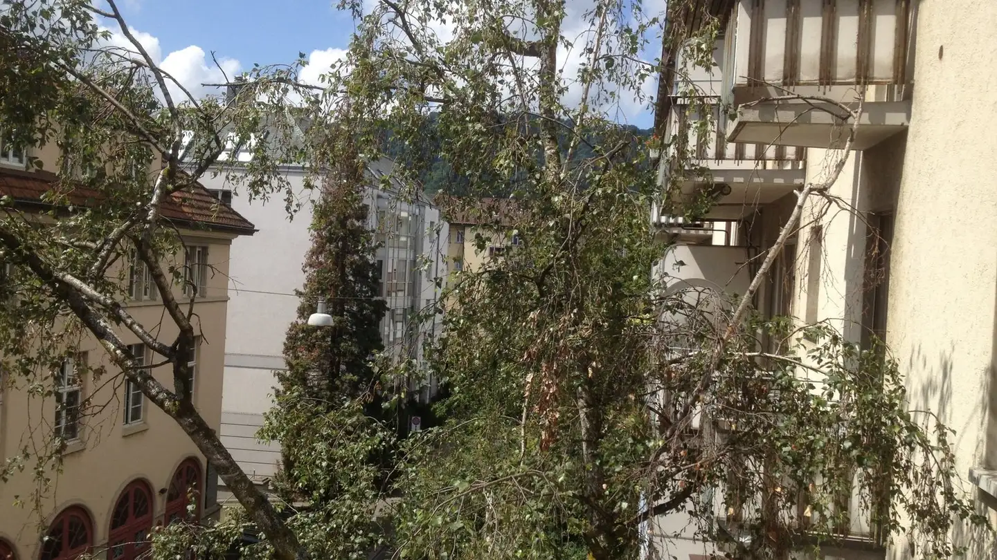 Appartamento in affitto - Eibenstrasse 6, 8045 Zürich - Foto 3